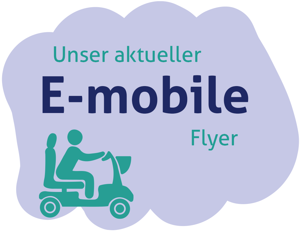 Elektromobile Flyer